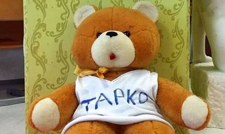 Pravljična meditacija za otroke z Janjo in medvedkom Tapkom