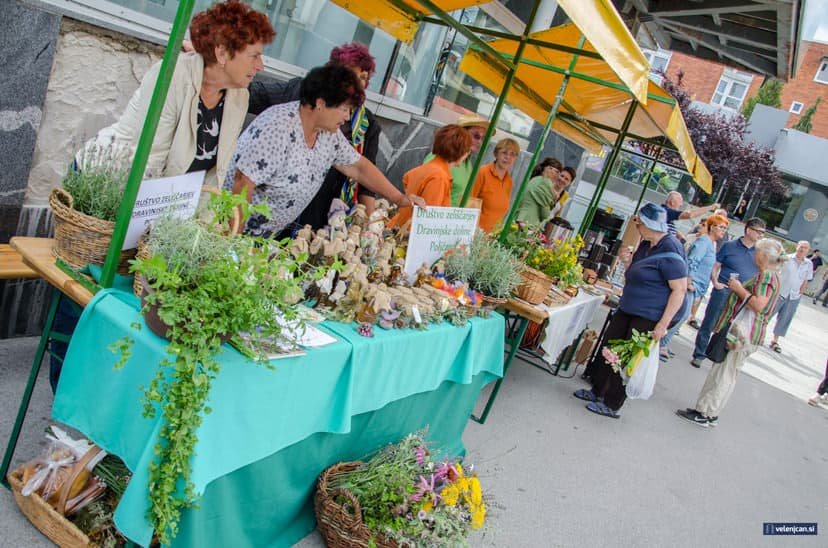 Mestna tržnica Velenje - Poletni utrip turističnih društev