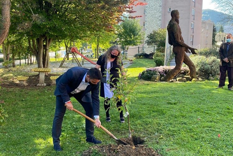 Zasadili jablano v spomin na prizadevanja pokojnega župana Bojana Kontiča
