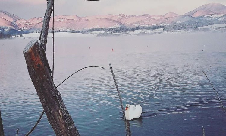 Kaj se v ponedeljek 18. 12., dogaja v Velenju in okolici?