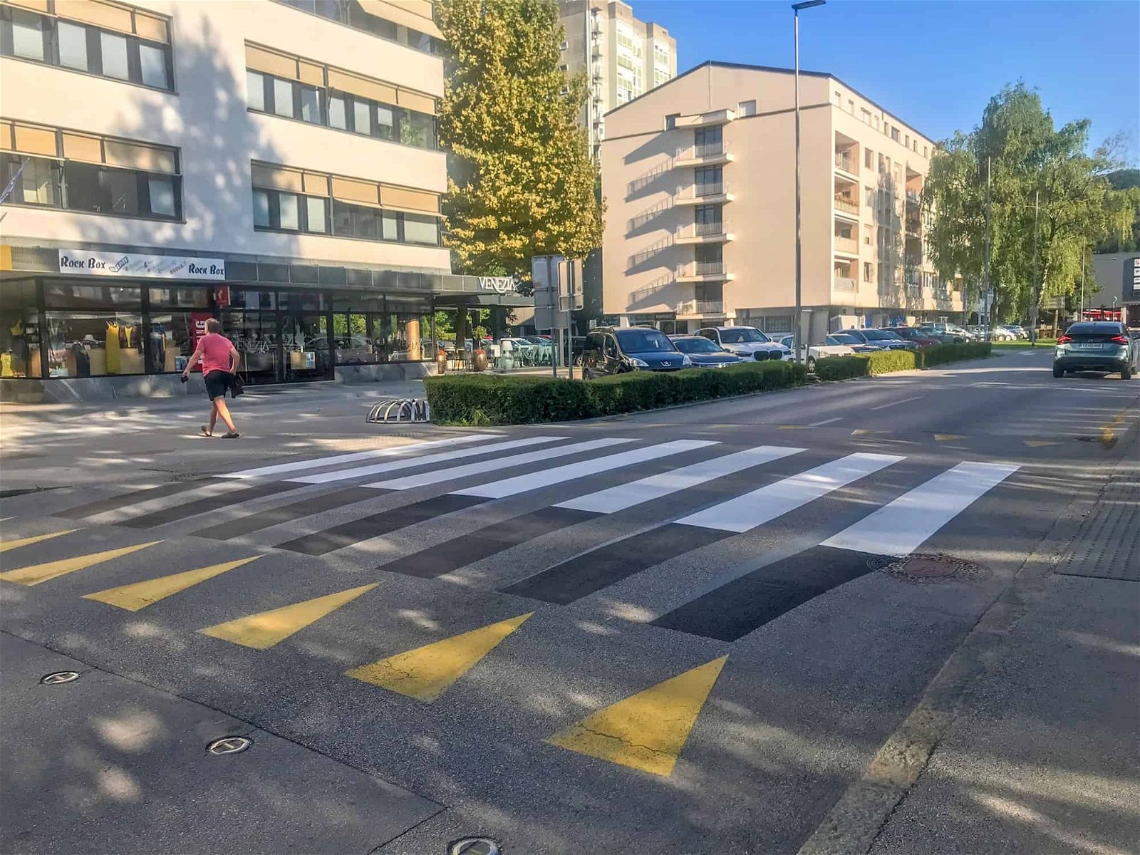 Na prvi šolski dan bodo predstavili projekt 3D-zebra