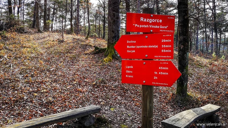 Kaj se v nedeljo, 10. 03., dogaja v Velenju in okolici?