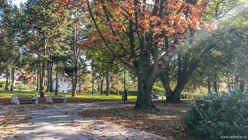 Kaj se v soboto, 2. 11., dogaja v Velenju in okolici?