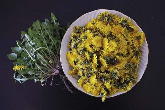 Sirup iz regratovih cvetov