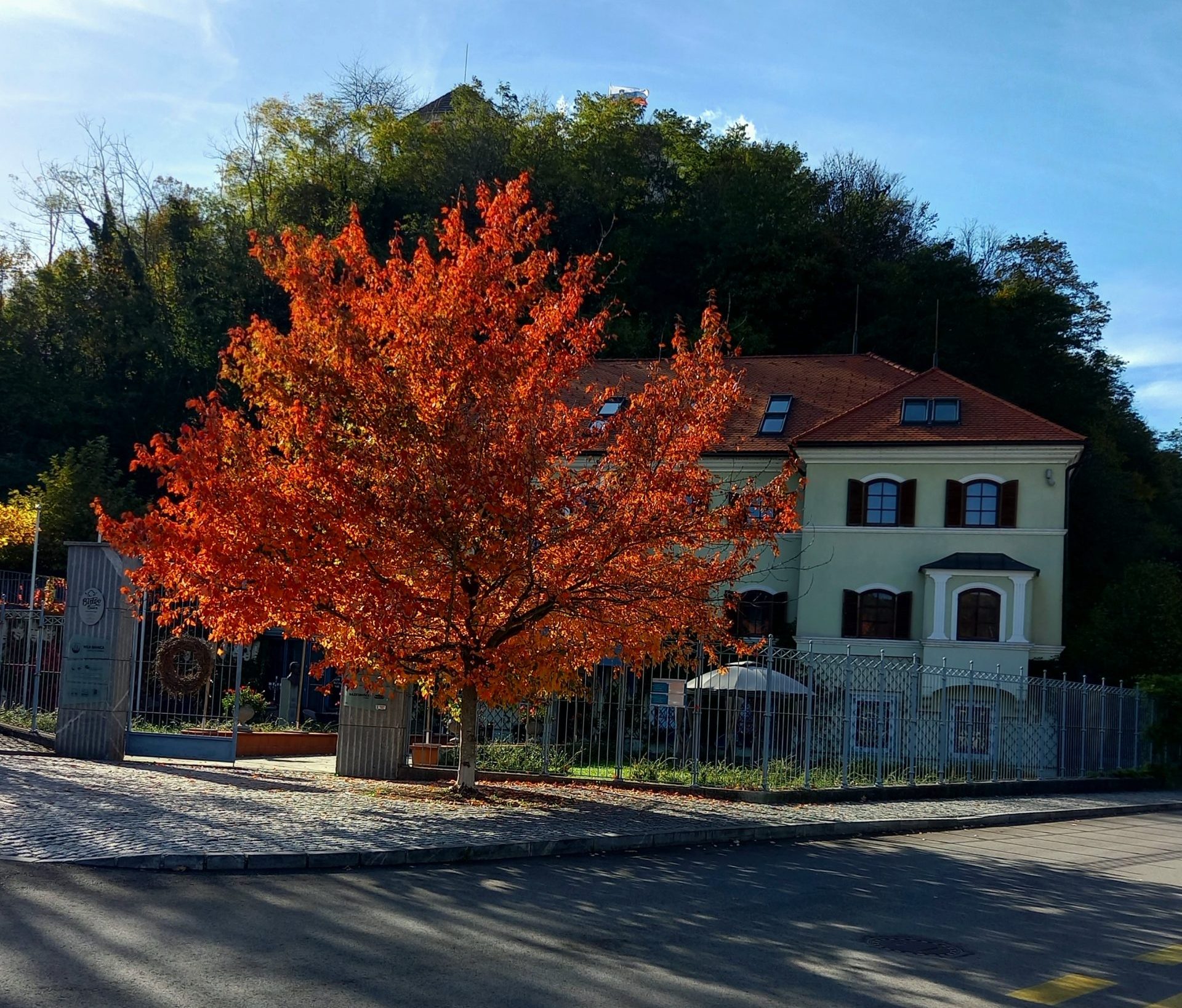 Vabljeni na brezplačno tematsko vodenje po Starem Velenju in Vili Bianca