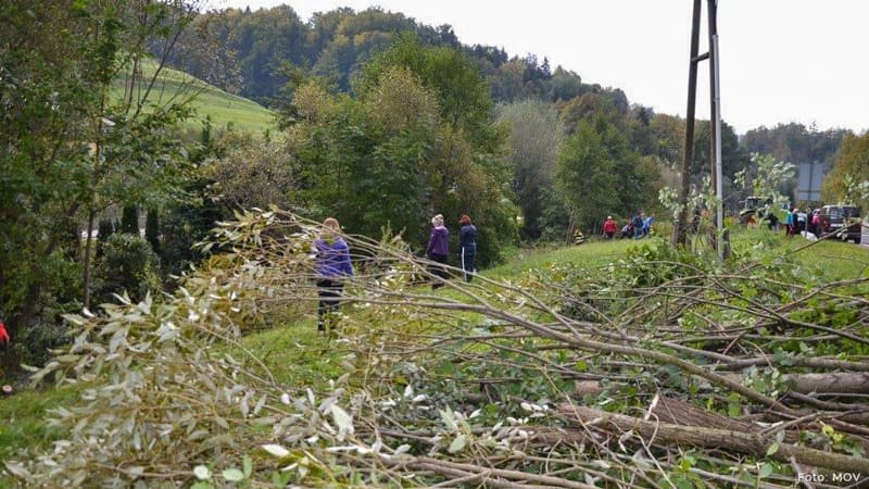 Akcija urejanja brežin uspela