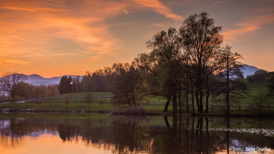 Kaj se v sredo, 02. 01., dogaja v Velenju in okolici?