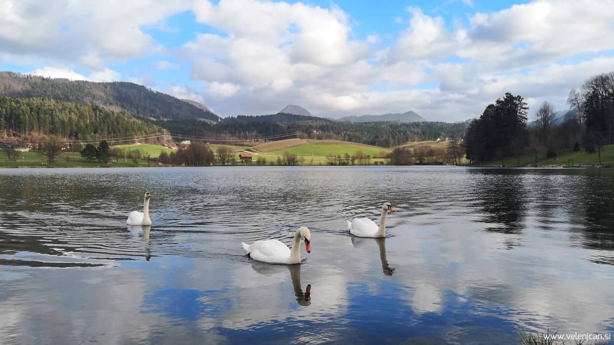 Kaj se v soboto, 21. 12., dogaja v Velenju in okolici?
