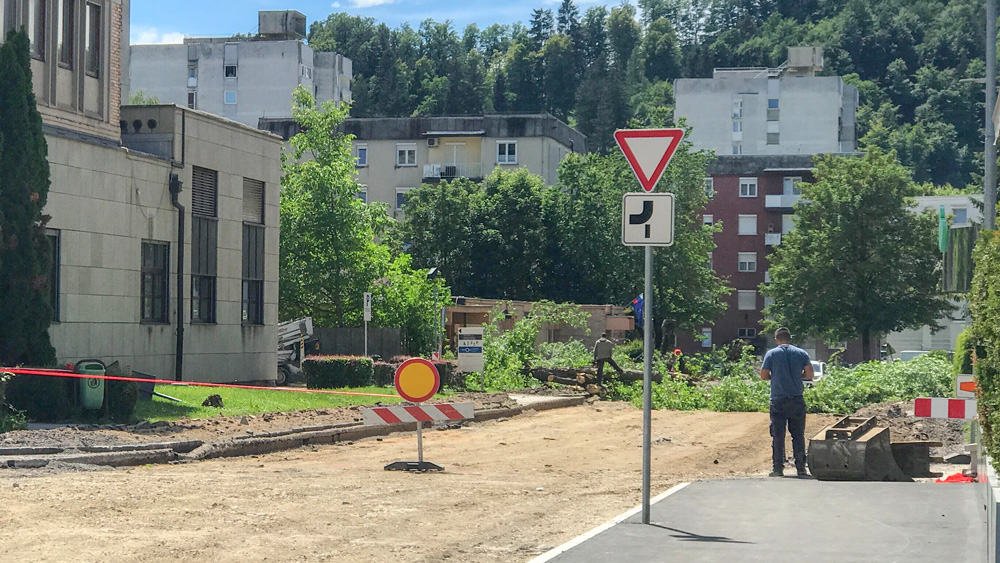 Na Prešernovi cesti in bližnji okolici kmalu 15 novih dreves #foto