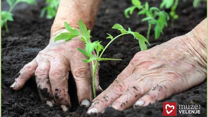 Pomlad na Grilovi domačiji 2019