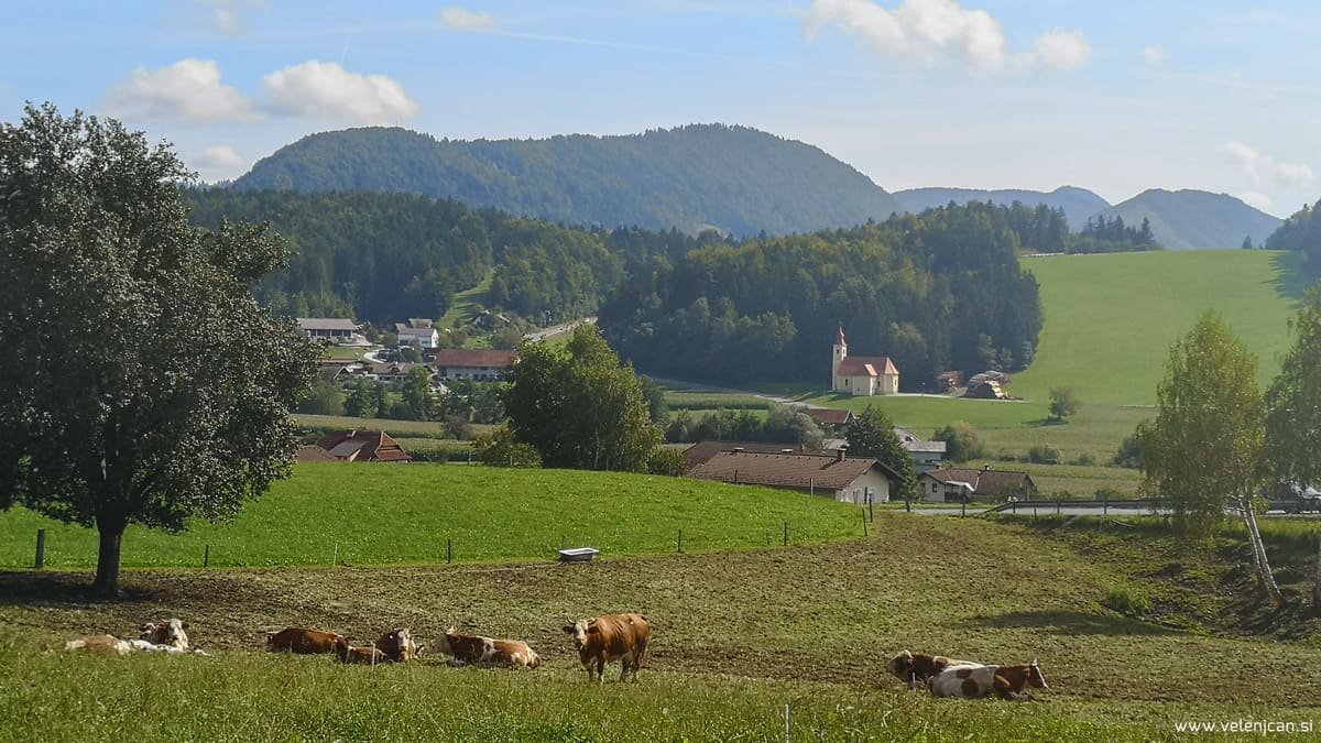Kaj se v nedeljo, 29. 9., dogaja v Velenju in okolici?