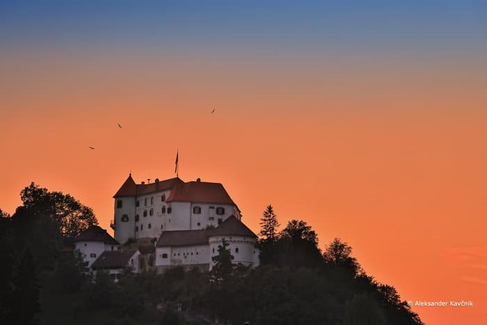 Kaj se v četrtek, 1. 6., dogaja v Velenju in okolici?