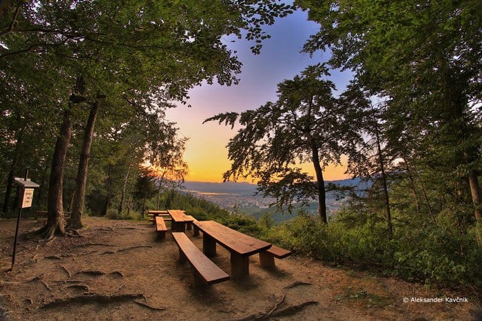 Kaj se v četrtek, 13. 7., dogaja v Velenju in okolici?