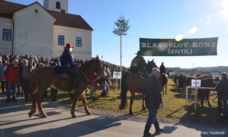 Blagoslov konj bo, a letos nekoliko drugače