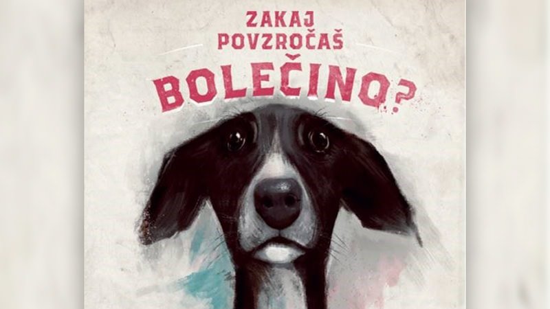 Naj bo praznični čas letos brez petard!