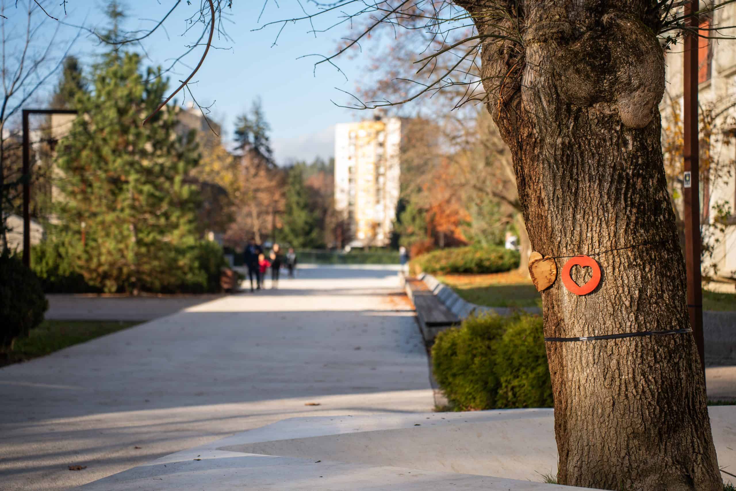 Center za pravični prehod SAŠA vzpostavil novo aplikacijo za pregled dodeljevanja in črpanja sredstev SPP