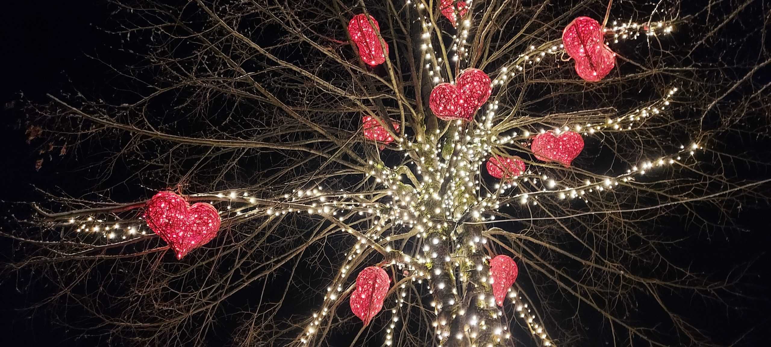 Danes bodo v Črni na Koroškem otvorili letošnje Božičkovo domovanje