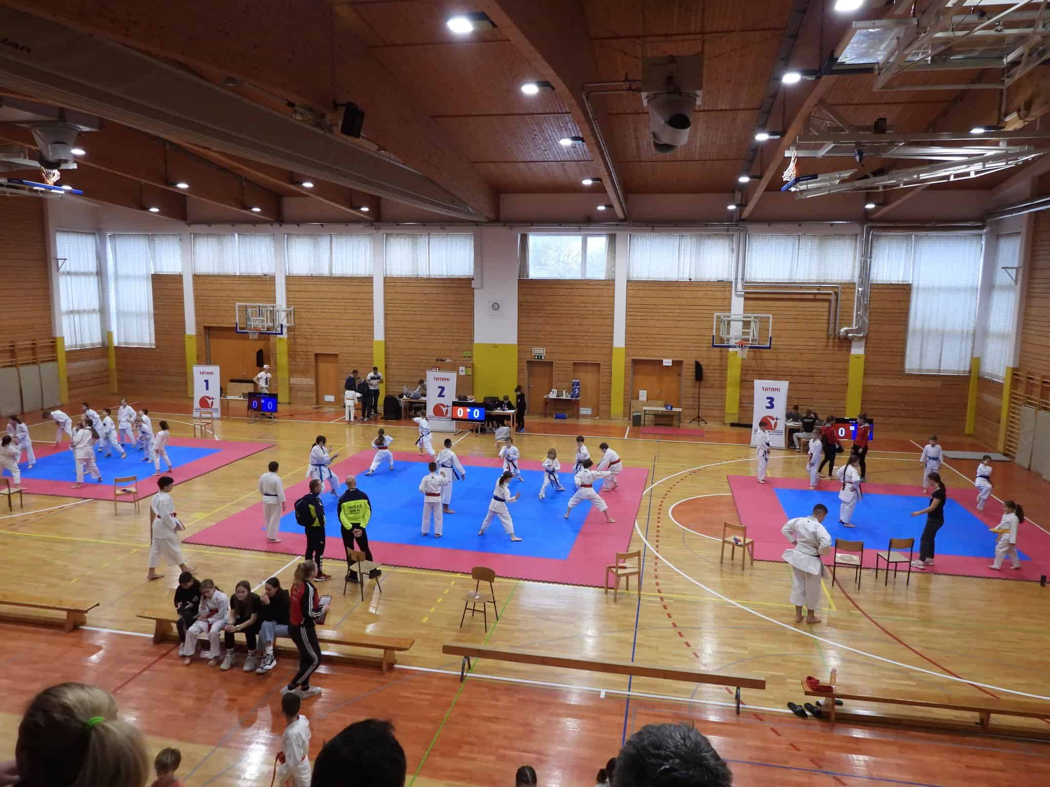 Uspešen vikend za Karate klub Seki