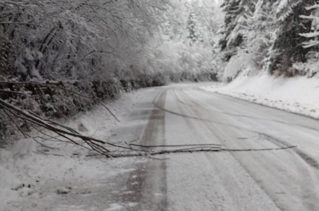 Sneg povzročil kar nekaj težav na cestah