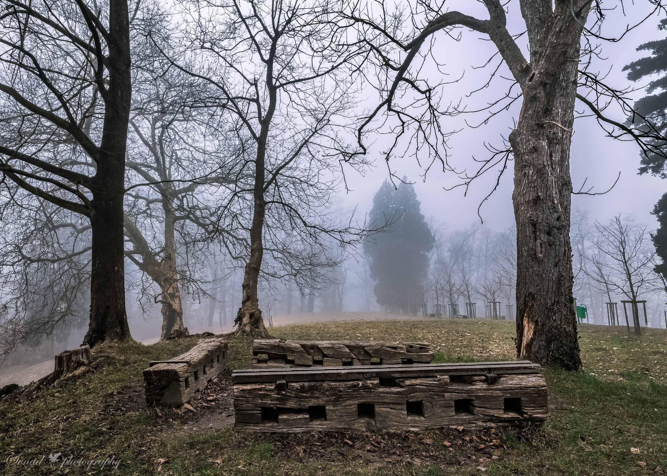 Radi nakupujete v trgovini Hummel? V nagradni igri "Koraki za zdravje" na vas čakajo bogati popusti