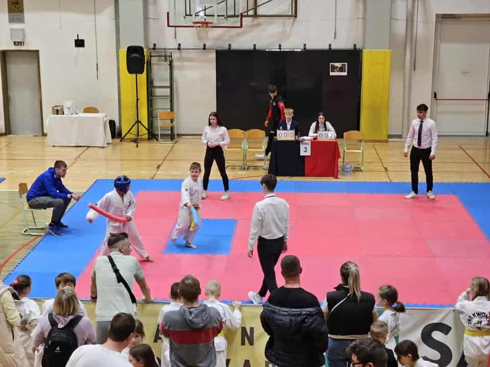 Velenjski taekwondoisti v soboto blesteli na turnirju v Šempetru