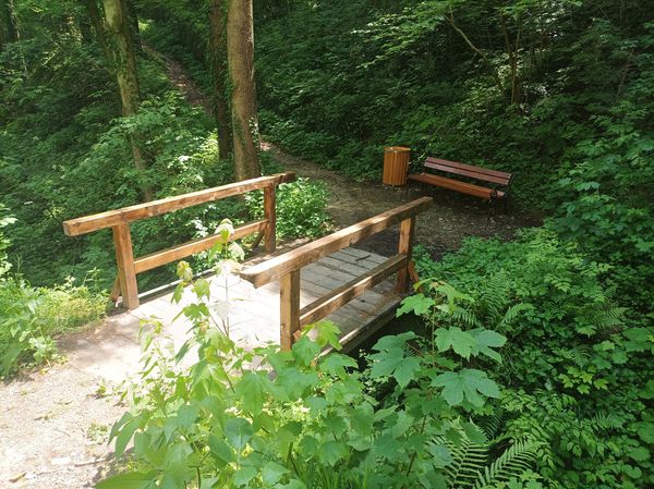 Občina Šoštanj planira celostno ureditev Pustega gradu