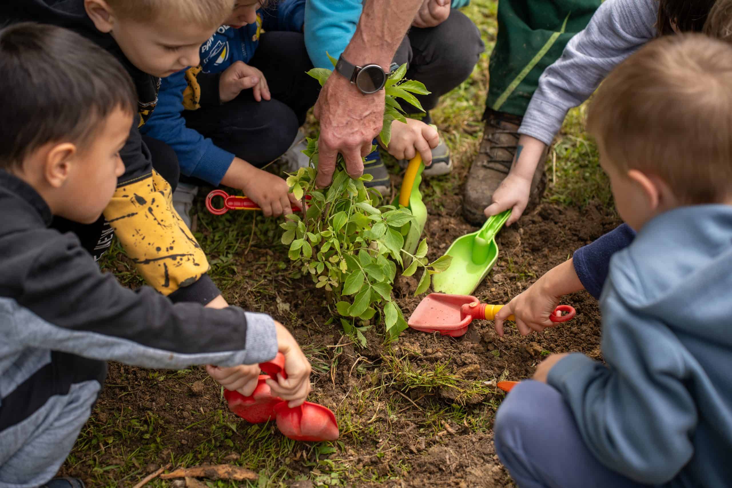 Pri vrtcu Tinkara zasadili 31 novih dreves #foto #video