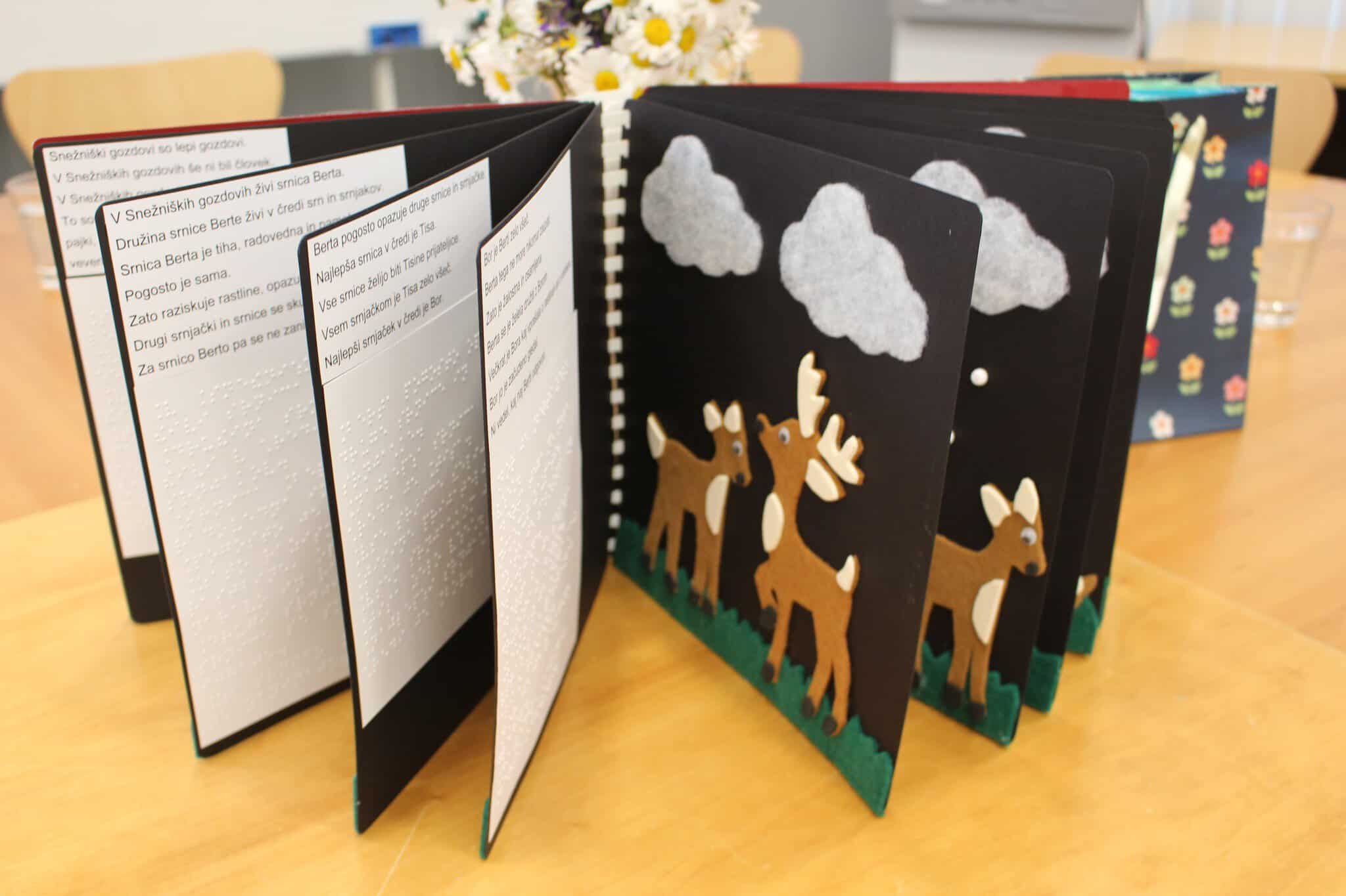 Zaključek prve sezone bralne značke v lahkem branju s predstavitvijo tipne slikanice