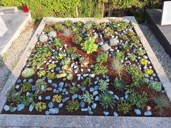 Rastline, odporne na sušo, postajajo vse bolj priljubljene pri oblikovanju grobov.