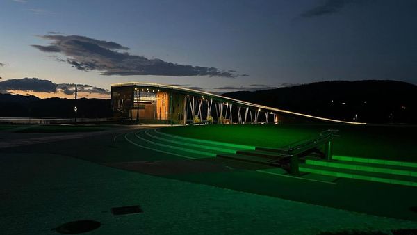 Vista se bo jutri ob Mednarodnem dnevu gastroshize obarvala zeleno