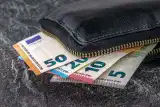 V Sloveniji med 212 župani le 49 nepoklicnih