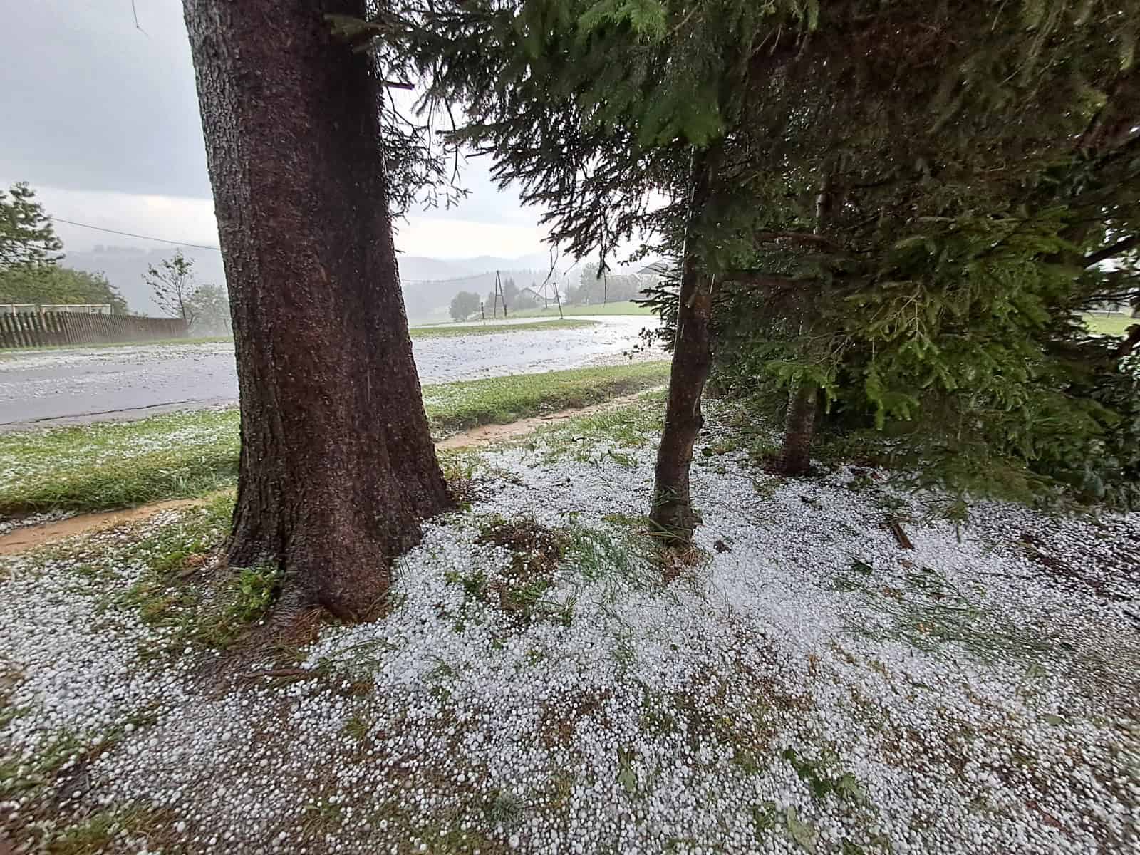 Nevihte z močnim vetrom na vzhodu podirale drevesa in odkrivale strehe
