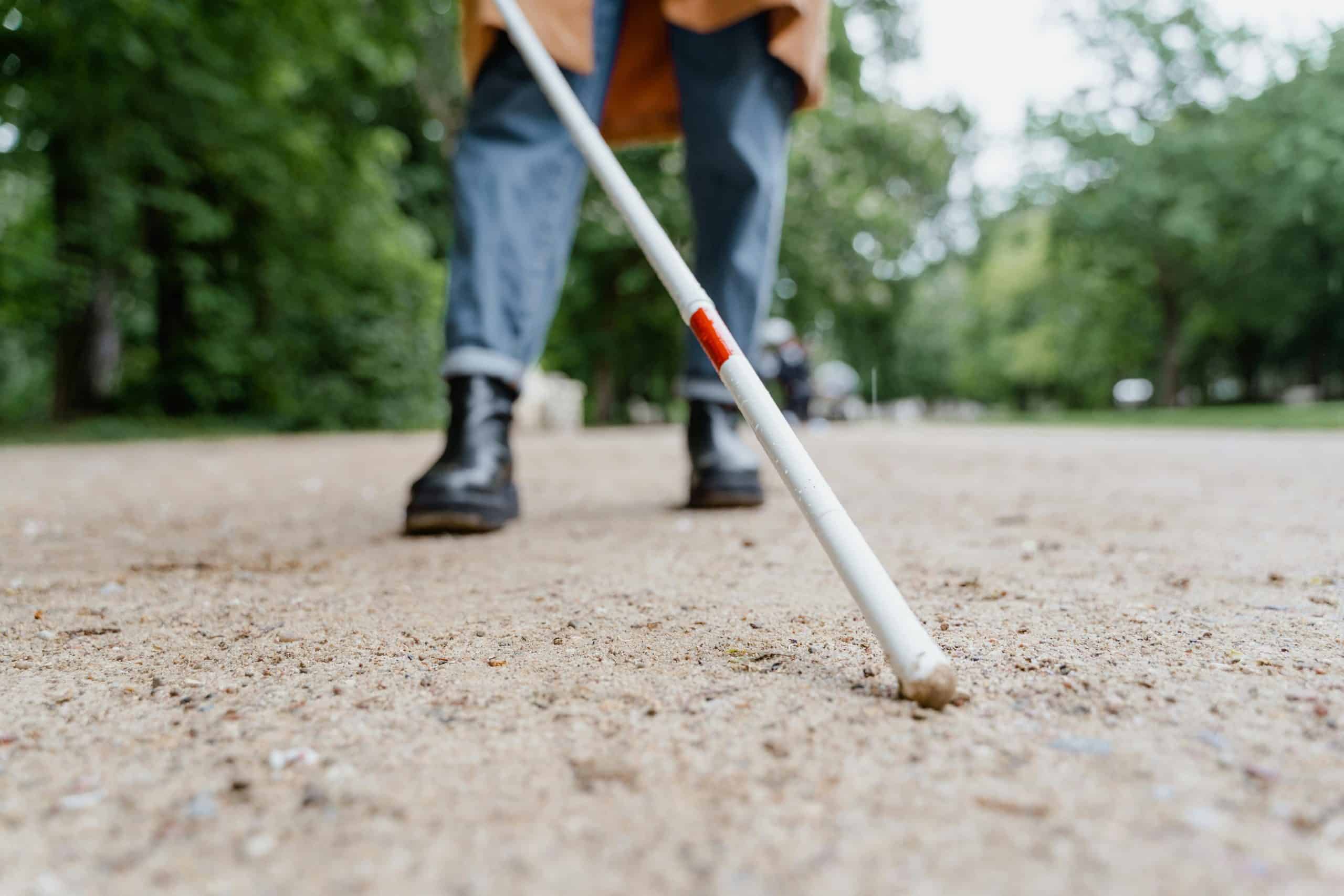 V Vili Mayer bodo jutri obeležili mednarodni dan bele palice