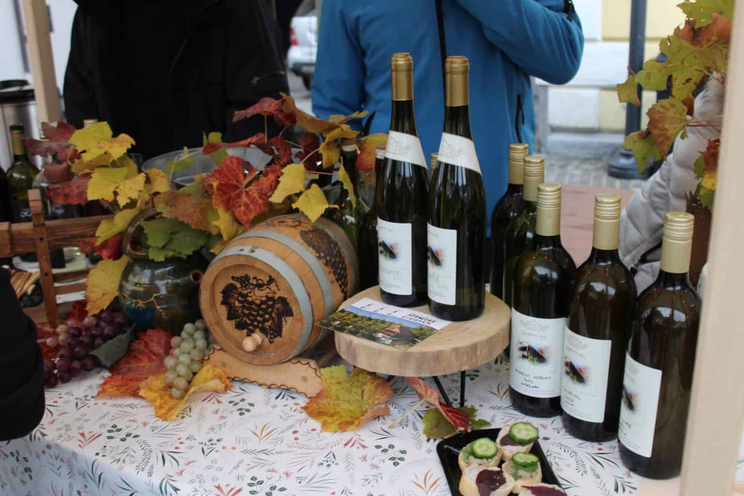 Martinova doživetja v Šaleški dolini