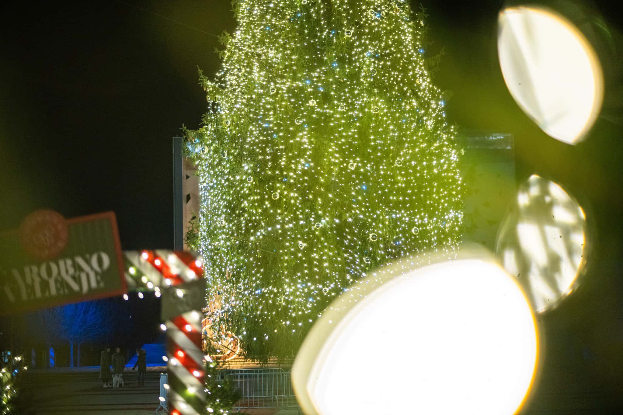 Danes: Silvestrovanje na Titovem trgu z ansamblom Saša Avsenika