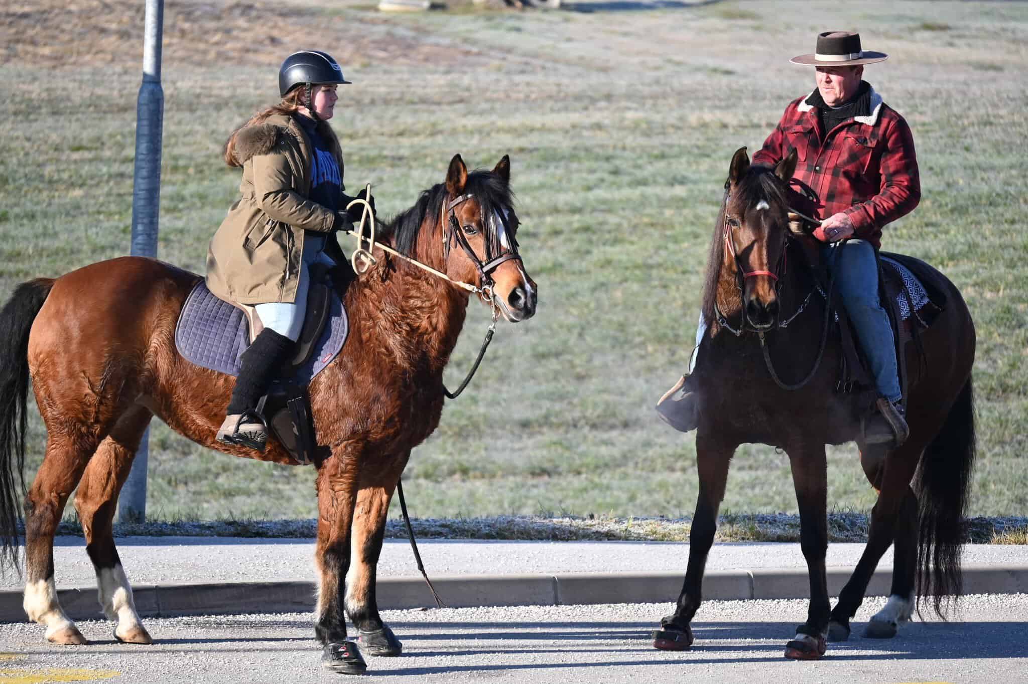 Tradicionalni 29. blagoslov konj v Šentilju pri Velenju #utrinki