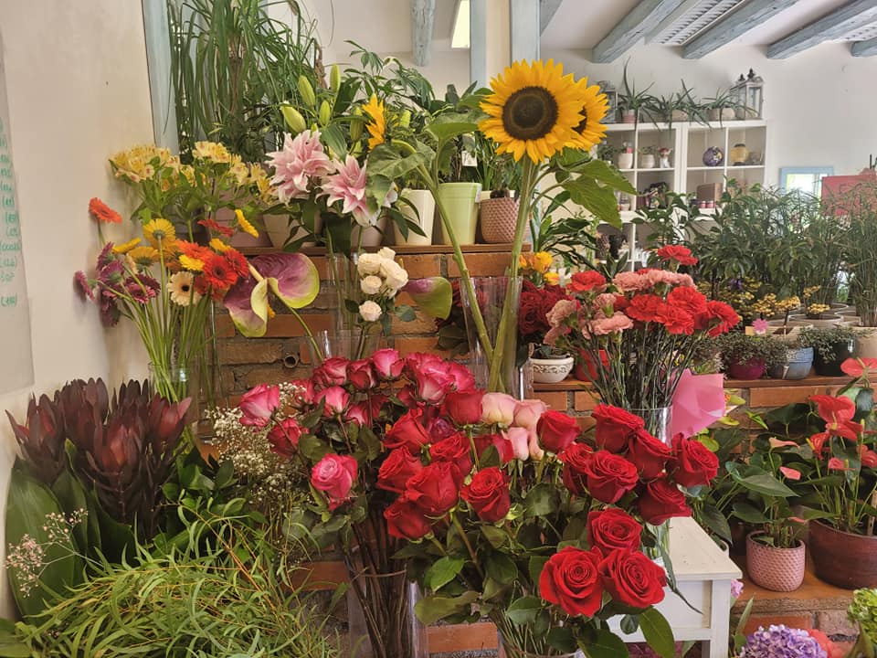 Storitve cvetličarne Rož\'ca začasno v Vrtnem centru na Koroški cesti