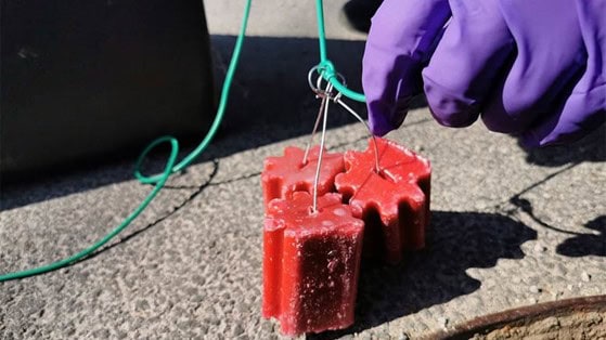 Napoved deratizacije kanalizacijskega sistema in sistema daljinskega ogrevanja v Šaleški dolini