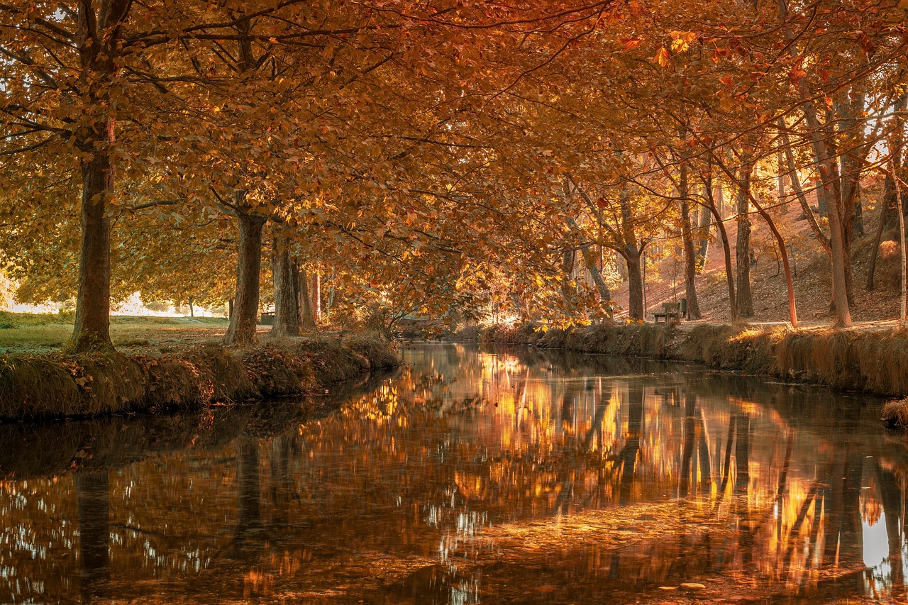 Vreme ta teden: V prihodnjih dneh malo sonca, nekaj oblakov in kapljic dežja