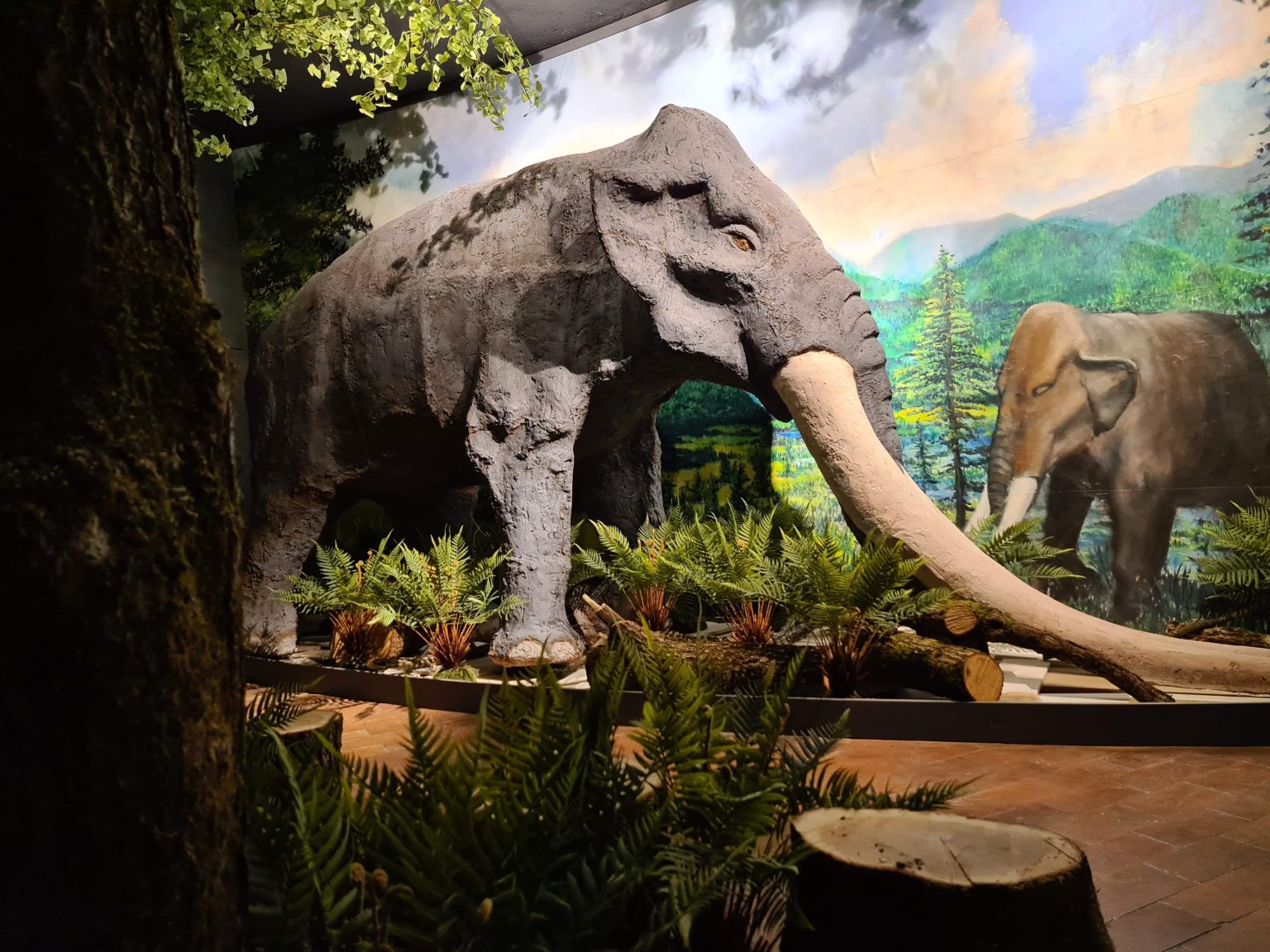 Najdba v sloju premoga: Najverjetneje gre za anankusa ali Borsonovega mastodonta