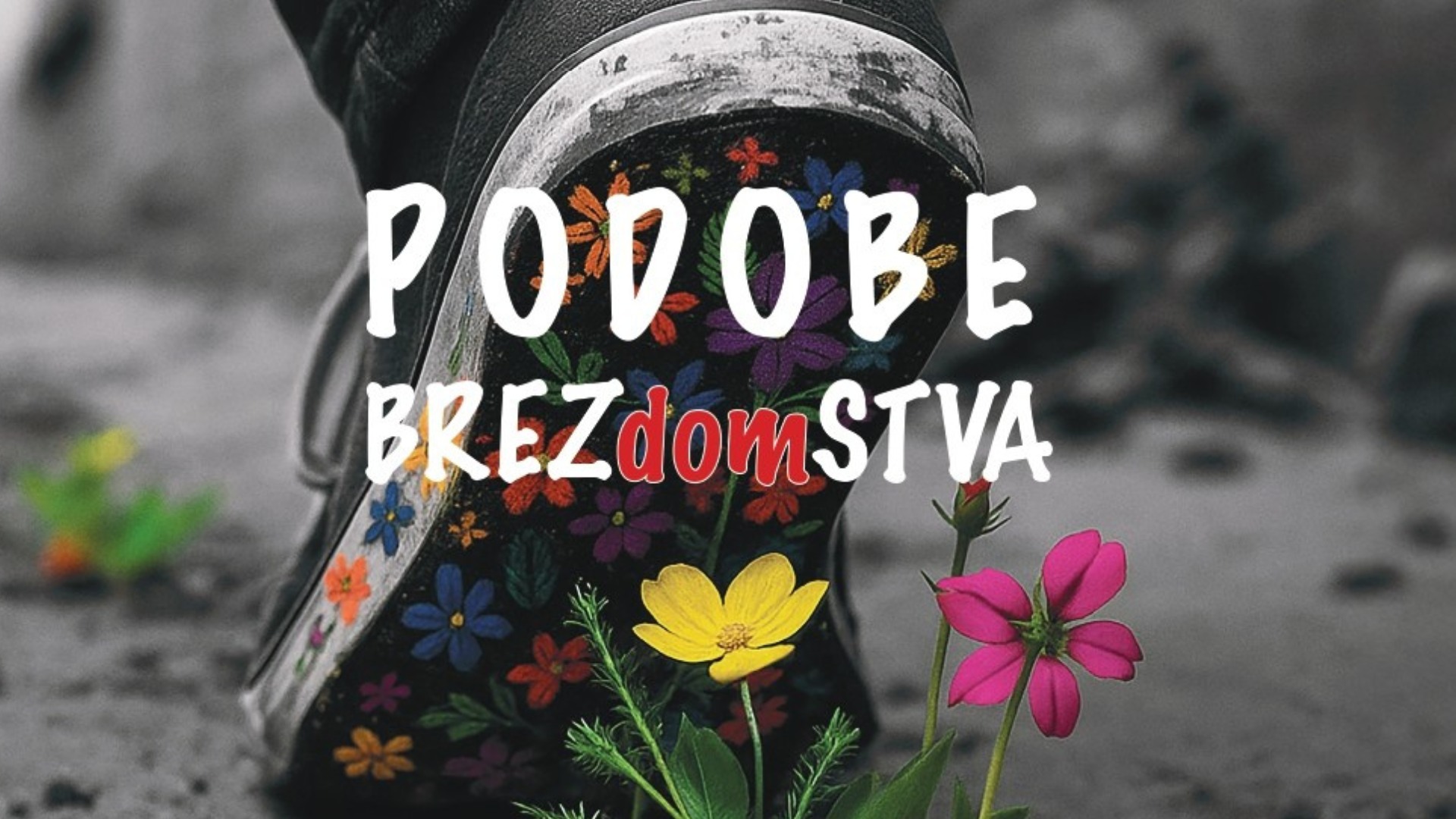 Ob mednarodnem dnevu brezdomcev: Dan odprtih vrat in predstavitev knjige Podobe brezdomstva