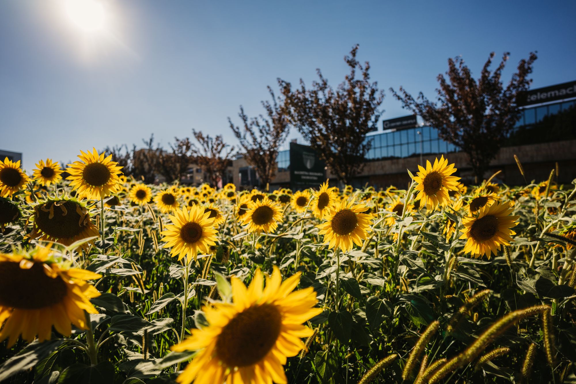 V torek delavnica na temo evropske strategije o oskrbi in o njenem vplivu na ženske