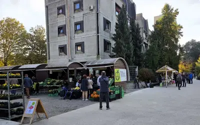 Jesenska kulinarika: Mestna tržnica jutri s spremljevalnim programom