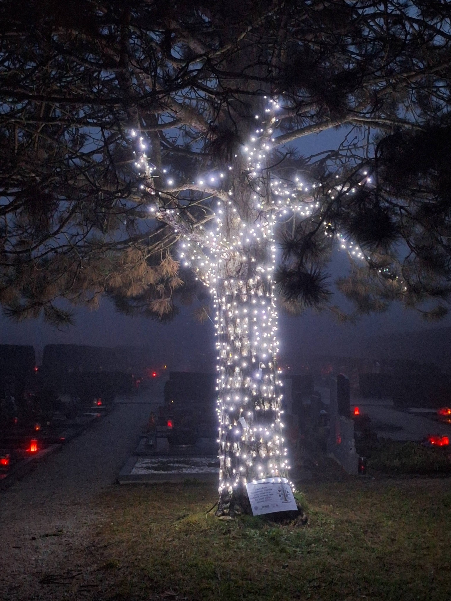 Spomin na najdražje: Tudi na velenjskem pokopališču najdete Drevo hvaležnosti